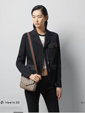 Gucci Ophidia bag